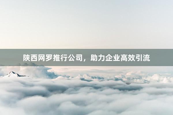 陕西网罗推行公司，助力企业高效引流